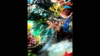 Sim Aquarium Live Wallpaper screenshot 1