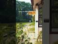 Bukit Timah New Launch | Serious Enquiry on Encrypted Form: https://linkly.link/2CphH