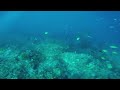 Underwater Adventure! What can YOU See? | Maddie Moate