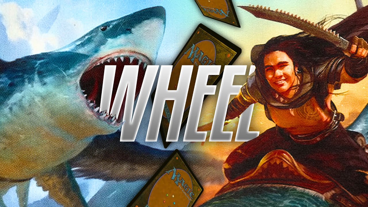 ABUSE endless CARD DRAW on a BUDGET! | EDH Deck Tech [Brallin & Shabraz] Partner Wheel Commanders