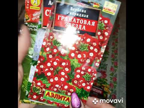 Обзор семян, сезон 2021.