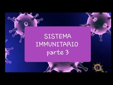 Video: Differenza Tra Sistema Immunitario E Sistema Linfatico