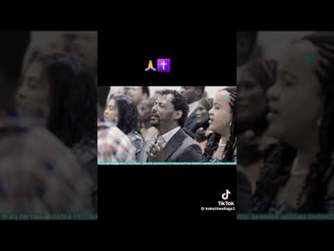 Hin Olmuu Turee Innii Olee Dhuufuu