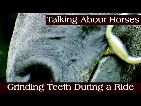 Grinding Teeth During a Ride - YouTube