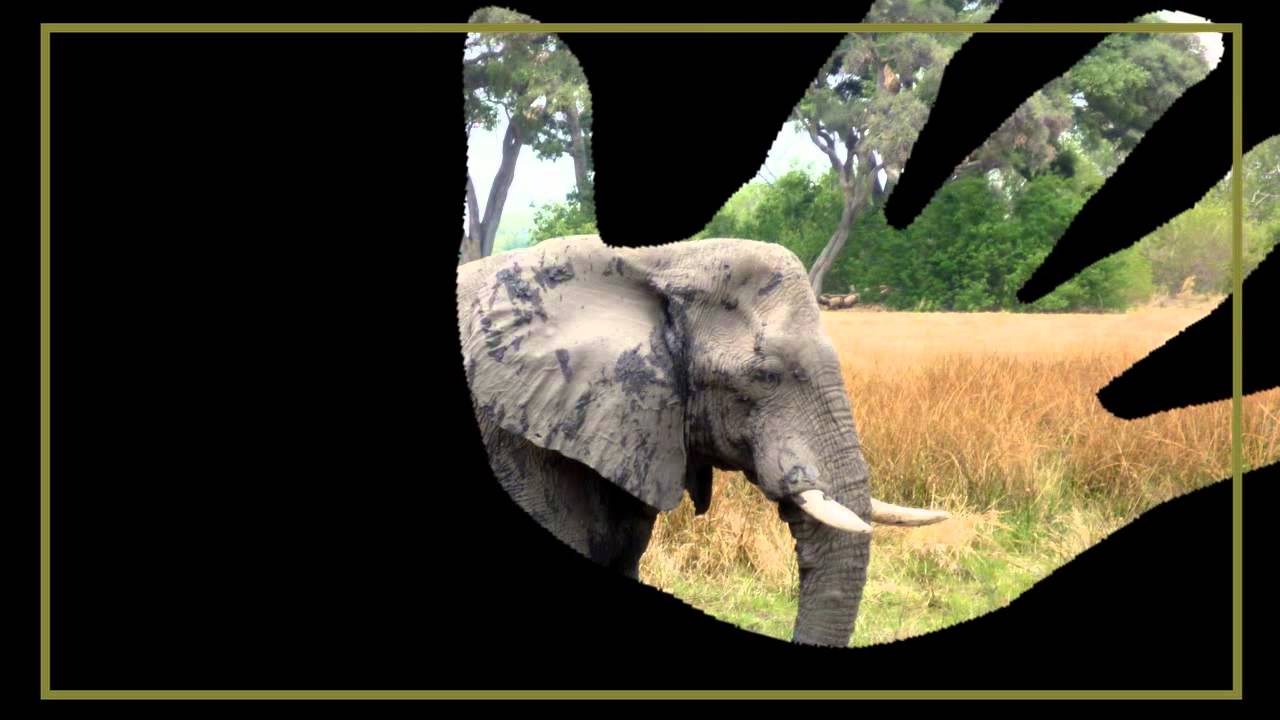 terza età ginnastica TUTORIAL 4