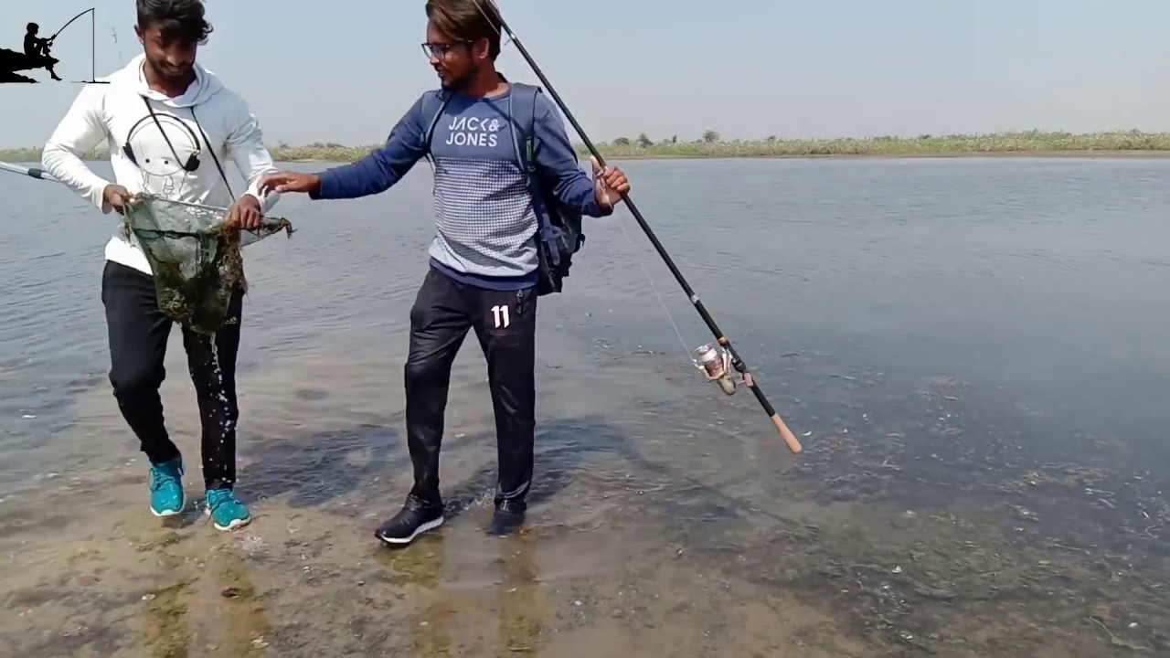 Fish hunting || murrel fishing from rubber frog