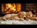 24 Hours Of Calming Music For Dogs Fall Asleep In 3 Minutes Separation Anxiety Relief At Home Alone mp3