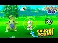 what are the rarest pokemon in pokemon go? first wild togetic found wtf