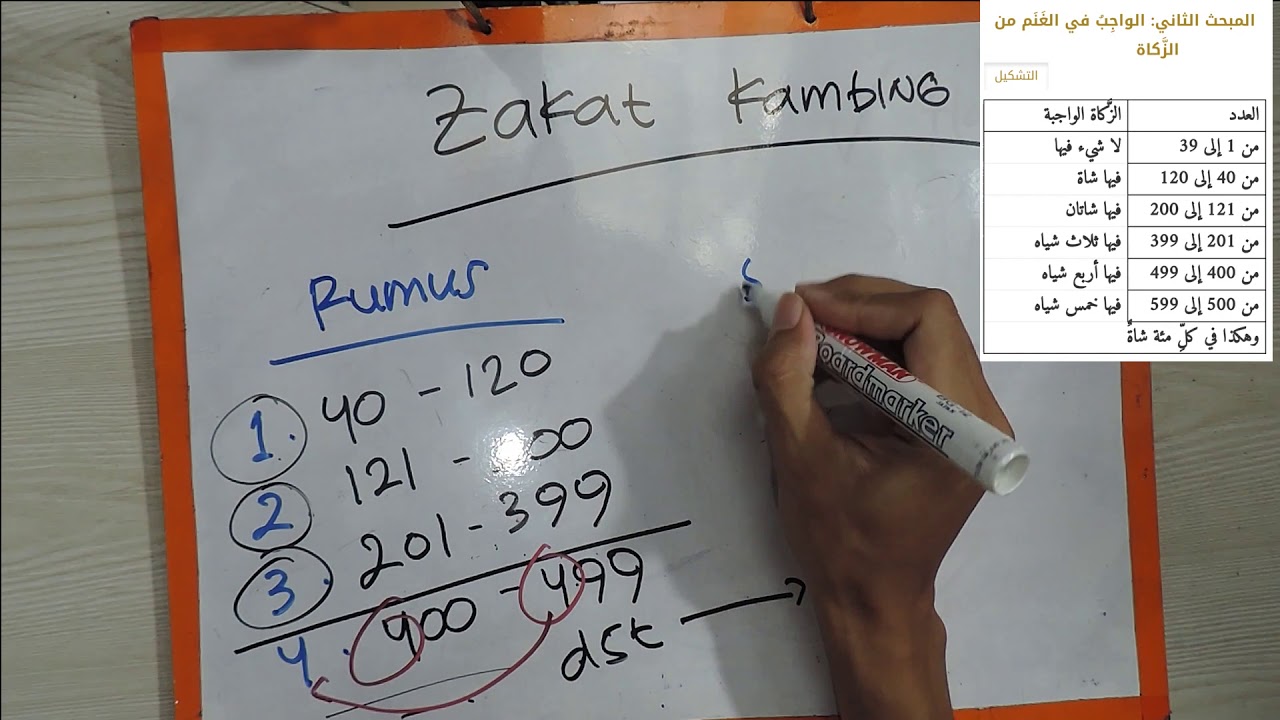 SKEMA Cara Menghitung Zakat Kambing Domba biri2 - Guru Piat2 