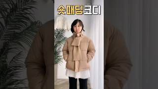 ?색상별 숏패딩코디 추천 shorts