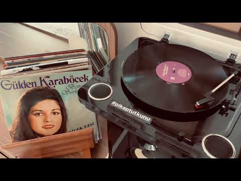 Gülden Karaböcek - Dilek Taşı (Plak Versiyon) #güldenkaraböcek #dilektaşı