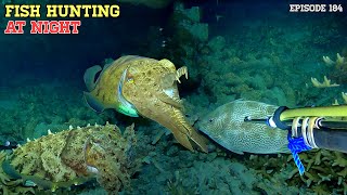 NIGHT SPEARFISHING EPISODE 184| FISH HUNTING AT NIGHT 