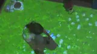 YDreams Virtual Garden - Interactive floor projection