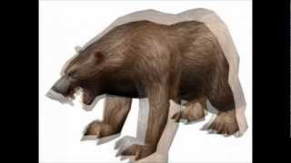 Bear 3D model | Animals Mammal 3D model | max, 3ds, obj, c4d, lwo