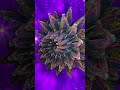 Insane 3D FRACTAL FLOWER - Amazing Space Video #3d #spiritual #meditation #flower