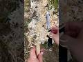 S#0288 ⚡ Morakniv Basic 510 Feather Stick Making Fuzz Stick Featherstick Curles Feathersticking Test