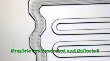 Drop-seq in Elemento Lab