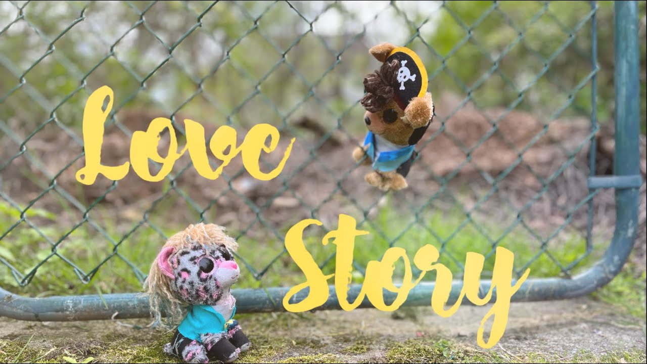 Beanie Boo: Love Story❤️ music video