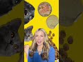 Robinhood's AI trade surprise