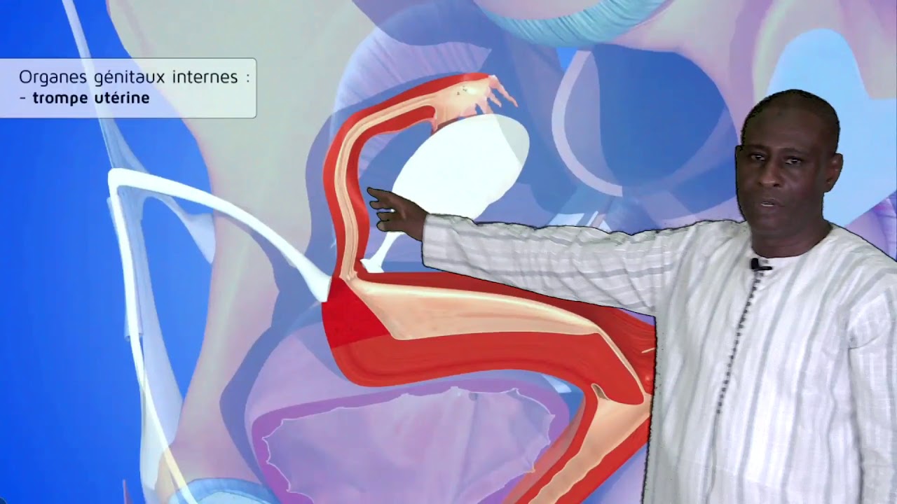 comment déboucher les trompes d eustache