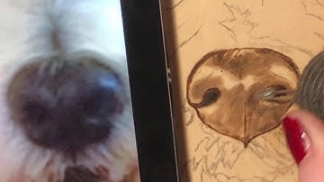 Real time woodburning tutorial Part 1 - how to woodburn dogs nose - pyrography