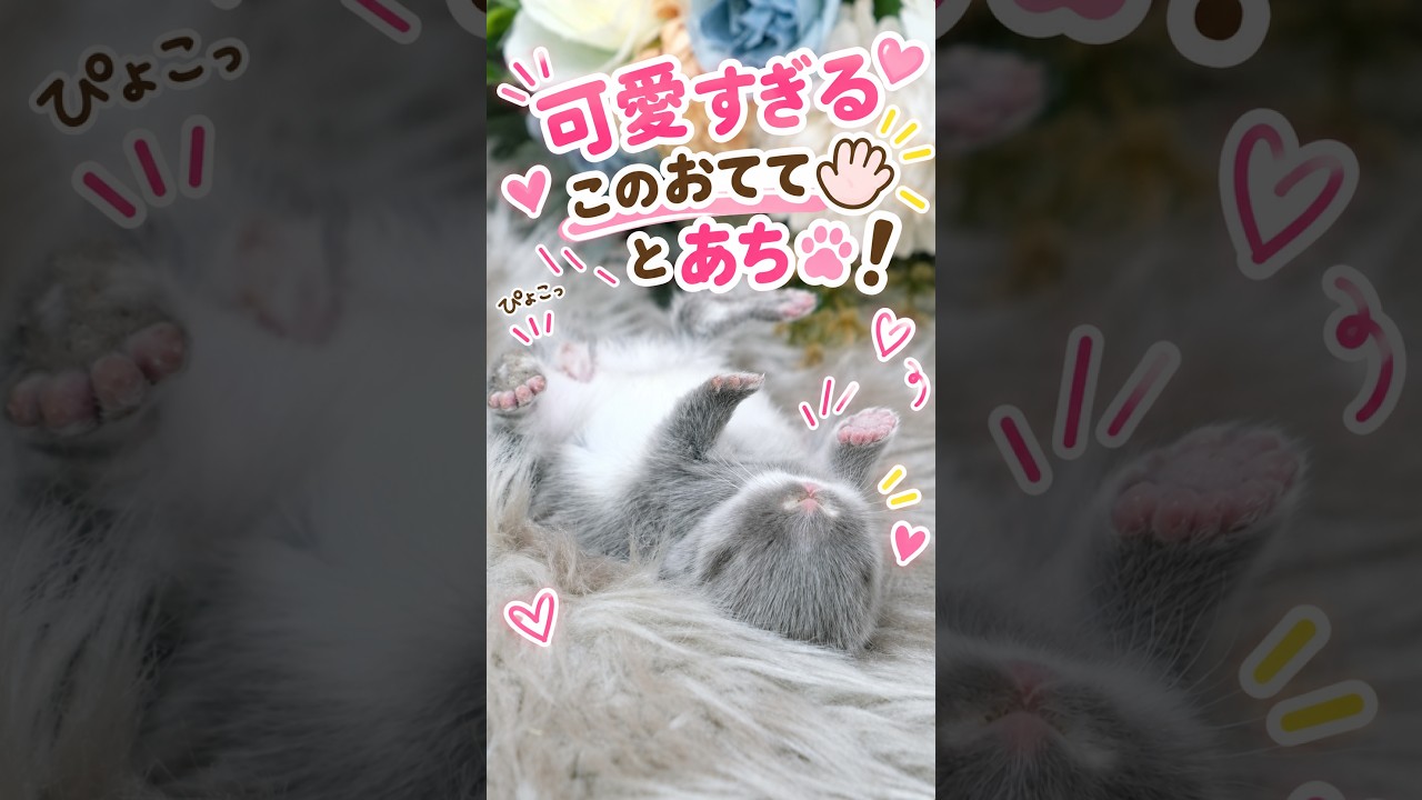 見て！！この可愛いおてて🖐️とあち🦶！ - YouTube