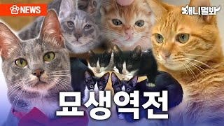 [Exclusive] Current Catizens who became family with TV Animal Farm Staffs