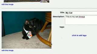 Photobucket Tutorial: Tags & Descriptions