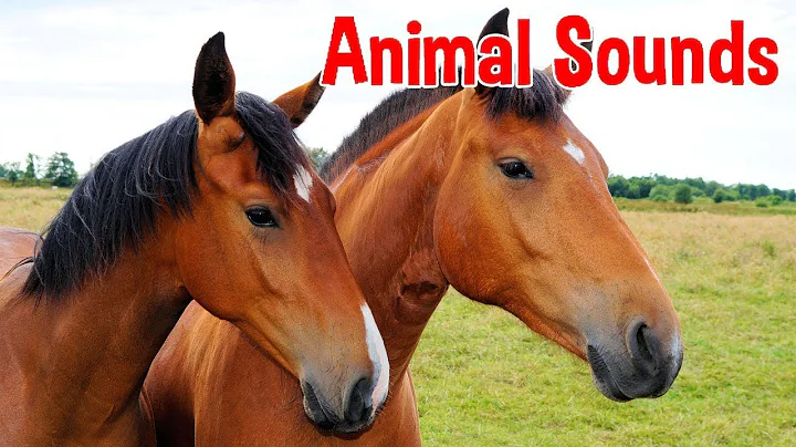 Animal Sounds for Children (20 Amazing Animals) - DayDayNews