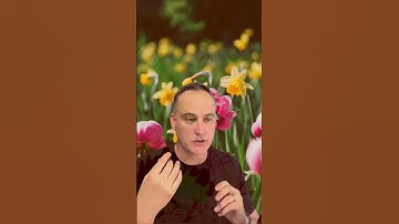 Using beneficiary designations is a simple yet powerful way to avoid the probate process