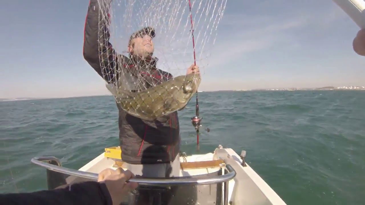 Pêche du loup au leurre en Méditerranée