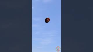 The Science of Football! | NSTEM #football #physics #nstem