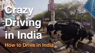 How to Drive in India (India’s Unofficial Road Rules) #HowToRock