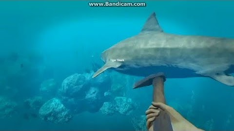Stranded Deep - Episode 1 - Shark Attacks