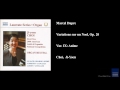Miniature de la vidéo de la chanson Variations Sur Un Noël, Op. 20: Ix. Animé