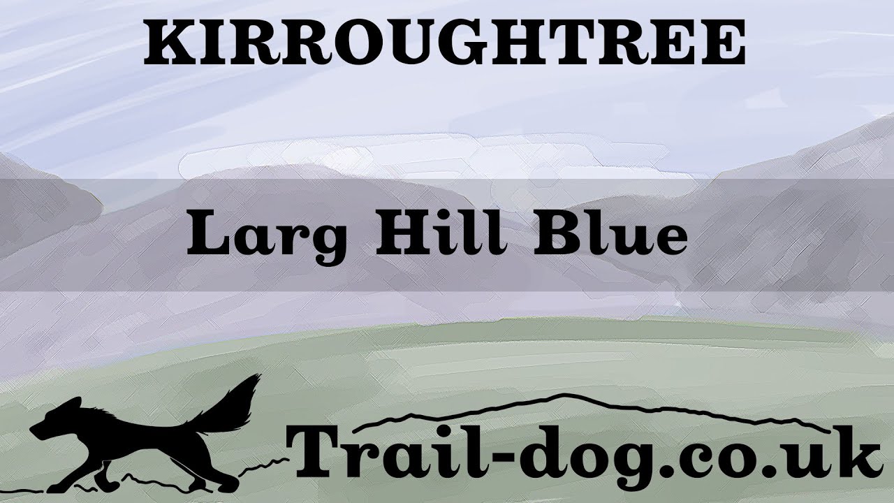 Larg Hill Blue - Kirroughtree Forest