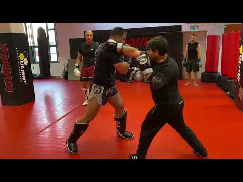 🥊🥋 MMA Pro