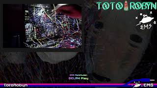 totorobyn