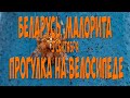 Беларусь, Малорита 3 сентября. Прогулка на велосипеде - Belarus, Malorita September 3. Walk on bike