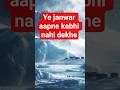 antarctica explained in hindi #shorts