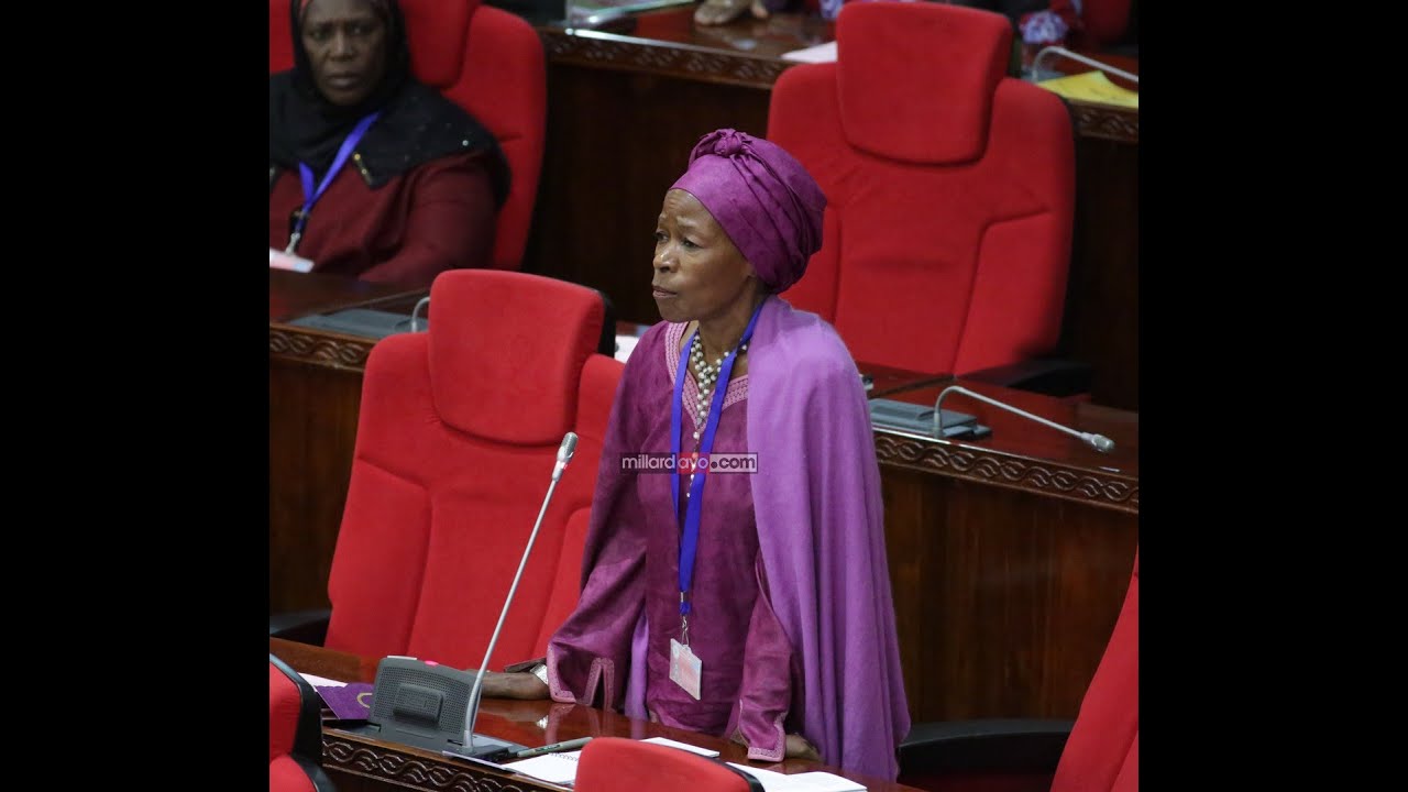 'Wanaosema mimi mwizi wataisoma namba'-Prof Tibaijuka