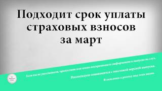 видео Сроки уплаты страховых взносов