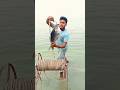 River Fishing | Catla Fish baits Trapping | #fish #fishing #bigfish #fishingvideo #shorts
