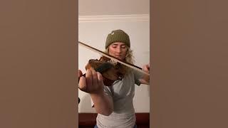 Arabic violin improvisation