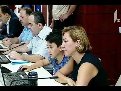 ალექსანდრე წულაძე იუსტიციის საბჭოს კითხვებს პასუხობს