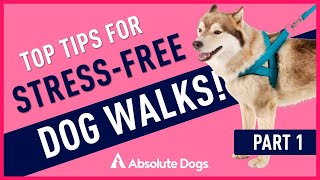 Top Tips For A Stress Free Walk Without Lead Pulling!!