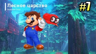Мульт Super Mario Odyssey Switch прохождение часть 7 Лесное Царство