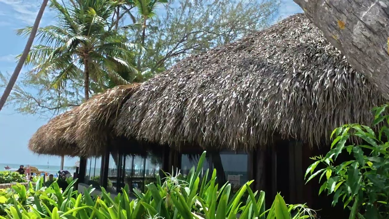 Punta cana 2025 vista sol