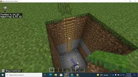 Minecraft for Education: Agent Detection (while true loops)