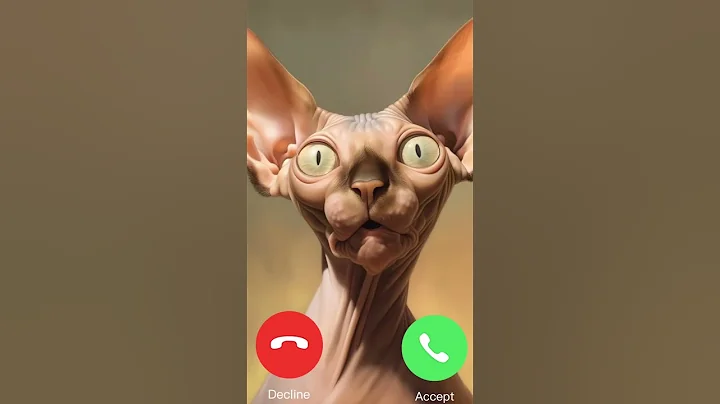 Video 11906931: sphynx, hairless cat, giant cat, cat ear